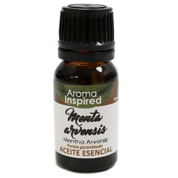 Huile essentielle 10 ml - menthe arvensis 2