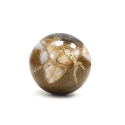 Sphere stones - Fossil Wood 230 to 320gr.