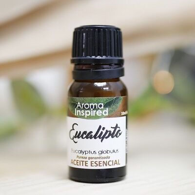 Eucalyptus 10ml - Organic essential oil