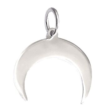 Pendentif lune en argent 2