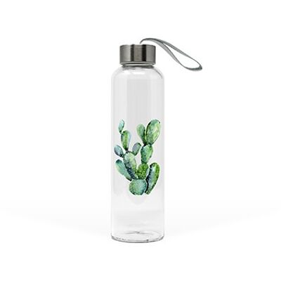 Cactus in bottiglia di vetro