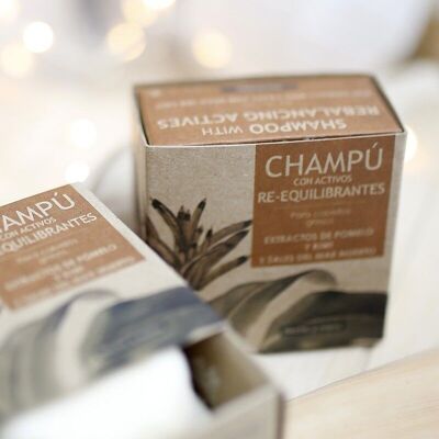 3 Champú sólido cabello graso - con activos REEQUILIBRANTES