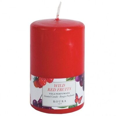 6 candele aromatiche - frutti di bosco 100x60 mm