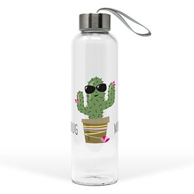 Glass Bottle Hug Me Cactus