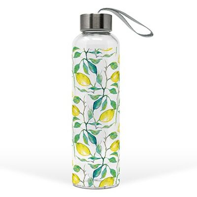 Bouteille Verre Beaux Citrons