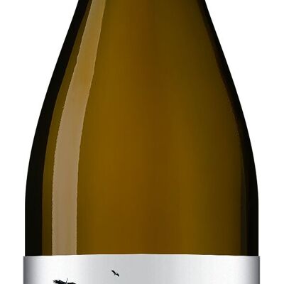 Organic white wine range Nouvel Horizon 2023 75cl