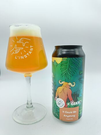 Bière 44cl Triple IPA - It Could Be Anything (Collab' Gekko) 3