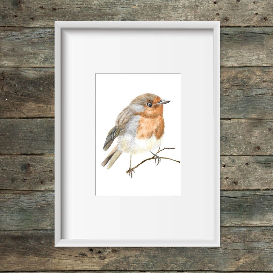Art print side robin