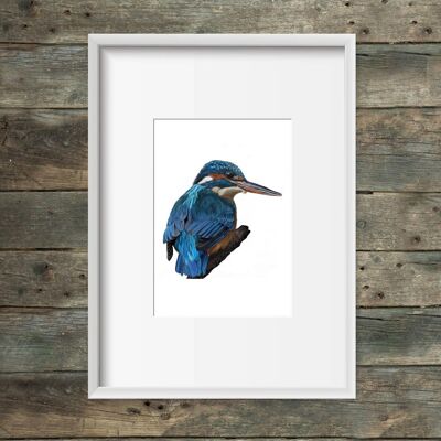 Art print kingfisher