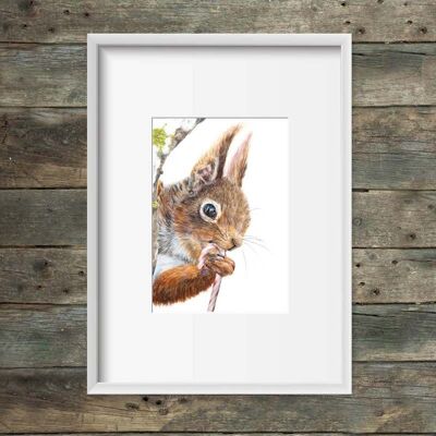 Art print squirrel candy cane