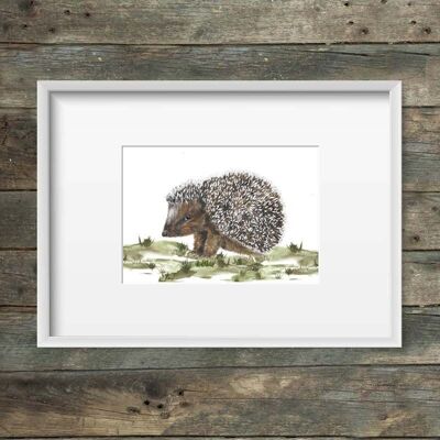 Art print hedgehog
