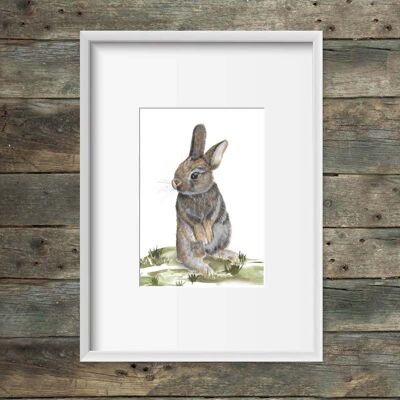 Art print rabbit