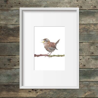 Art print wren