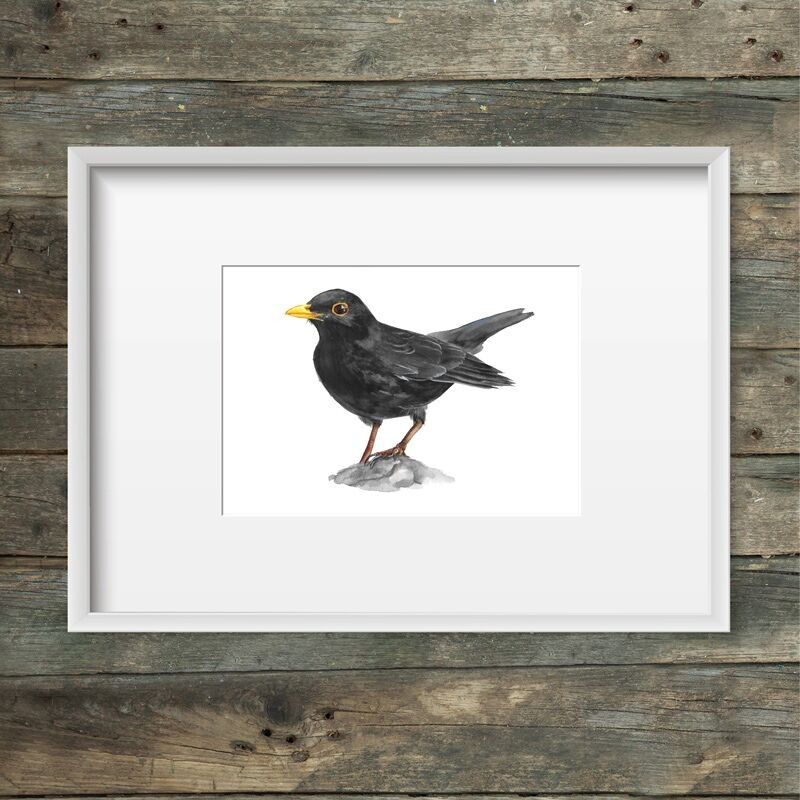 Merlo con stampa artistica