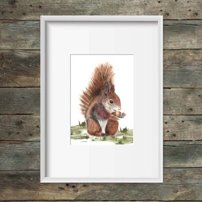 Kunstdruck Eichhörnchen