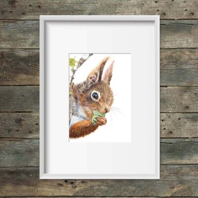 Art print cheeky squirrel