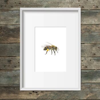 Impression d’art abeille à miel