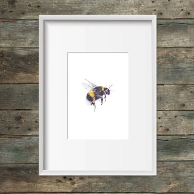 Art print Fat Bumblebee