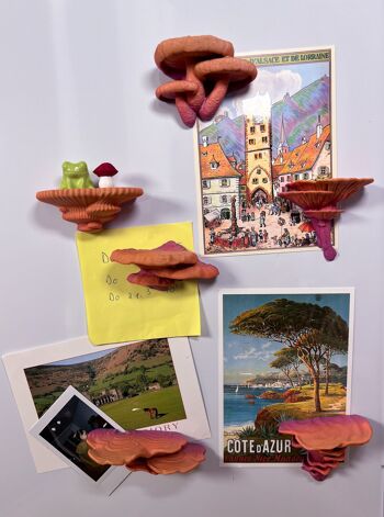 Aimants aux champignons colorés ensemble de 6 - décoration de forêt magique pour réfrigérateur et tableau d’affichage - ensemble d’aimants décoratifs pour réfrigérateur 2