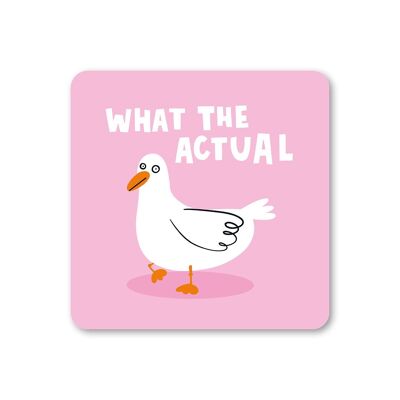What The Duck Coaster Pack of 6