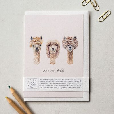 Funny 'Love your style' Alpacas Greeting Card