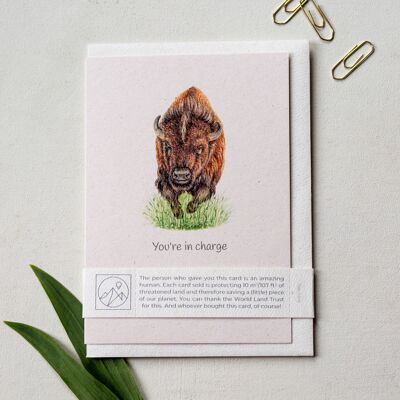 Bison mignon « Vous êtes aux commandes » Carte de vœux