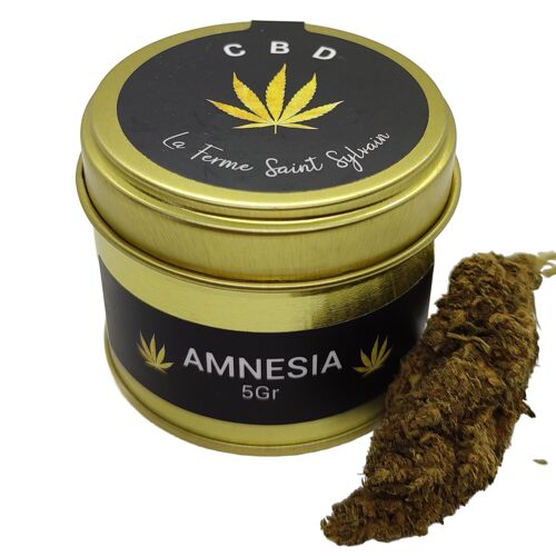 CBD Fleurs BIO pour infusion - Variété Amnesia - 5g