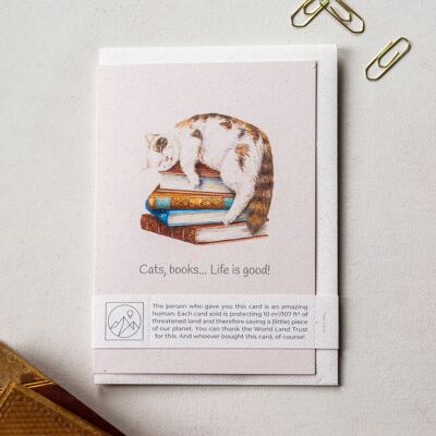Redonner aux amoureux des chats et des livres Carte de vœux
