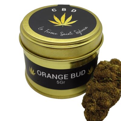 CBD ORGANIC Flowers for infusion - Orange Bud variety - 5g