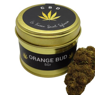 Flores CBD ORGÁNICAS para infusión - Variedad Orange Bud - 5g