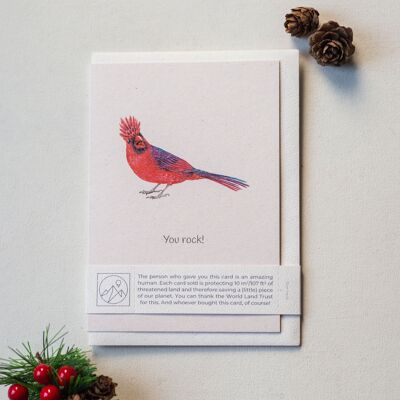 'You rock!' Northern Cardinal Greeting Card