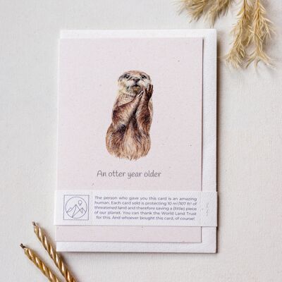 'An otter year older' Eco-friendly Birthday Card