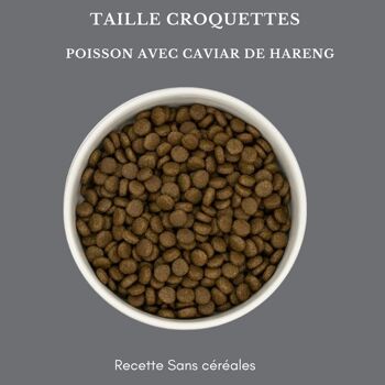 Croquettes pour chat au Poisson et caviar de Hareng 2