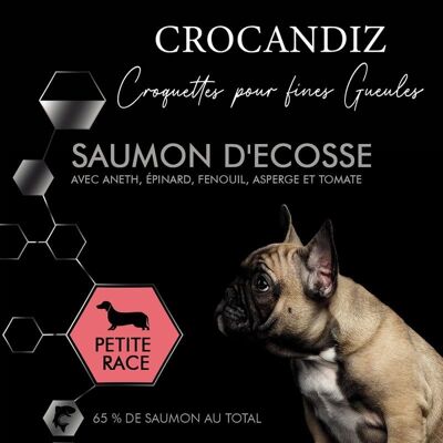 Luxury Salmon Small Dog Croquettes