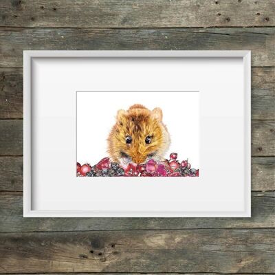 Art print dormouse