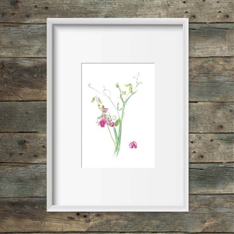 Impresión de arte anillos de hoja ancha guisante plano