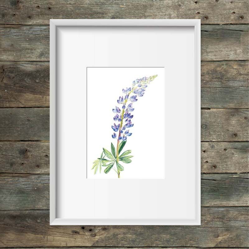 Stampa artistica lupino blu