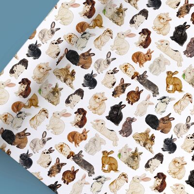 Wrapping paper “rabbits colorful”