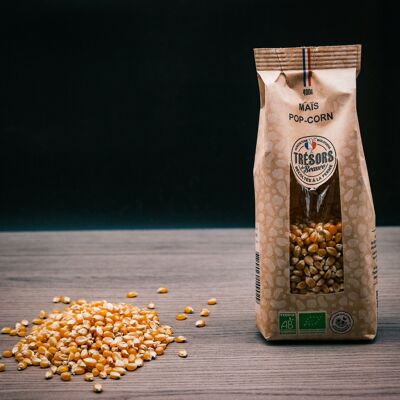 ORGANIC POPCORN BAG 400G