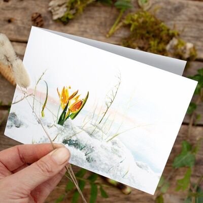 Folding card Crocus Winter Greetings - PRINTED INSIDE with envelope