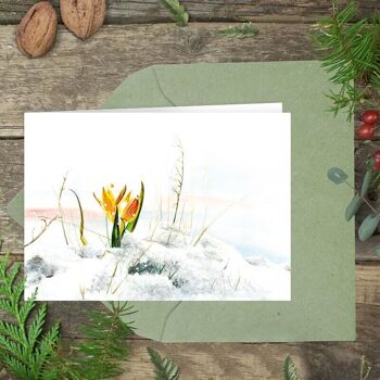 Carte pliante Crocus Winter Greetings - IMPRIMÉE À L'INTÉRIEUR avec enveloppe 2