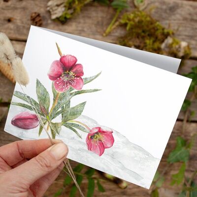 Folding card Christmas rose - PRINTED INSIDE with envelope