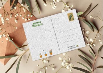 Carte postale à planter #27 "Merci floral" Lot de 10 2