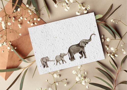 Carte postale à planter #48 "Famille d'éléphants" Lot de 10