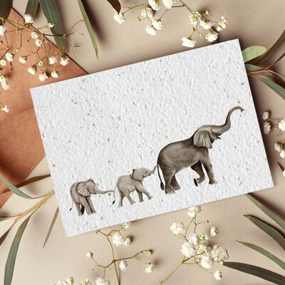 Carte postale à planter #48 "Famille d'éléphants" Lot de 10