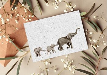Carte postale à planter #48 "Famille d'éléphants" Lot de 10 1