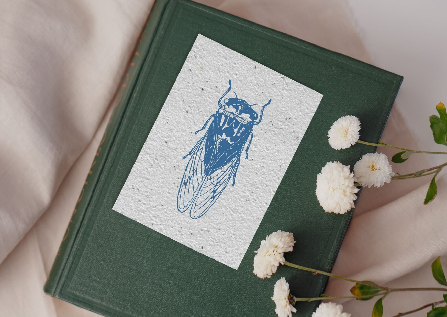 Cartolina per pianta n. 55 "Cicada" Set di 10