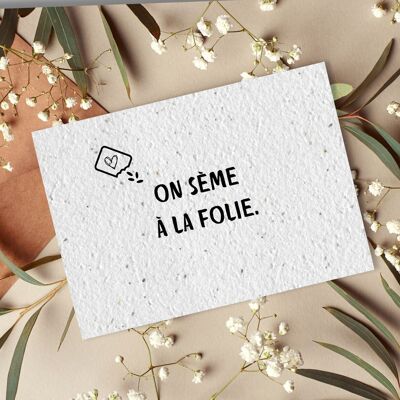 Carte postale à planter #2 "On sème à la folie" Lot de 10