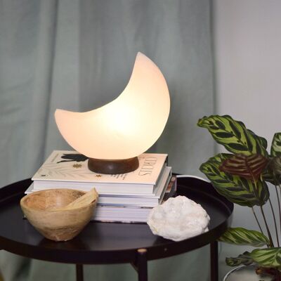 White Salt Crystal Lamp - Moon
