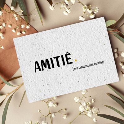 Carte postale à planter #5 "Amitié. (nom)" Lot de 10